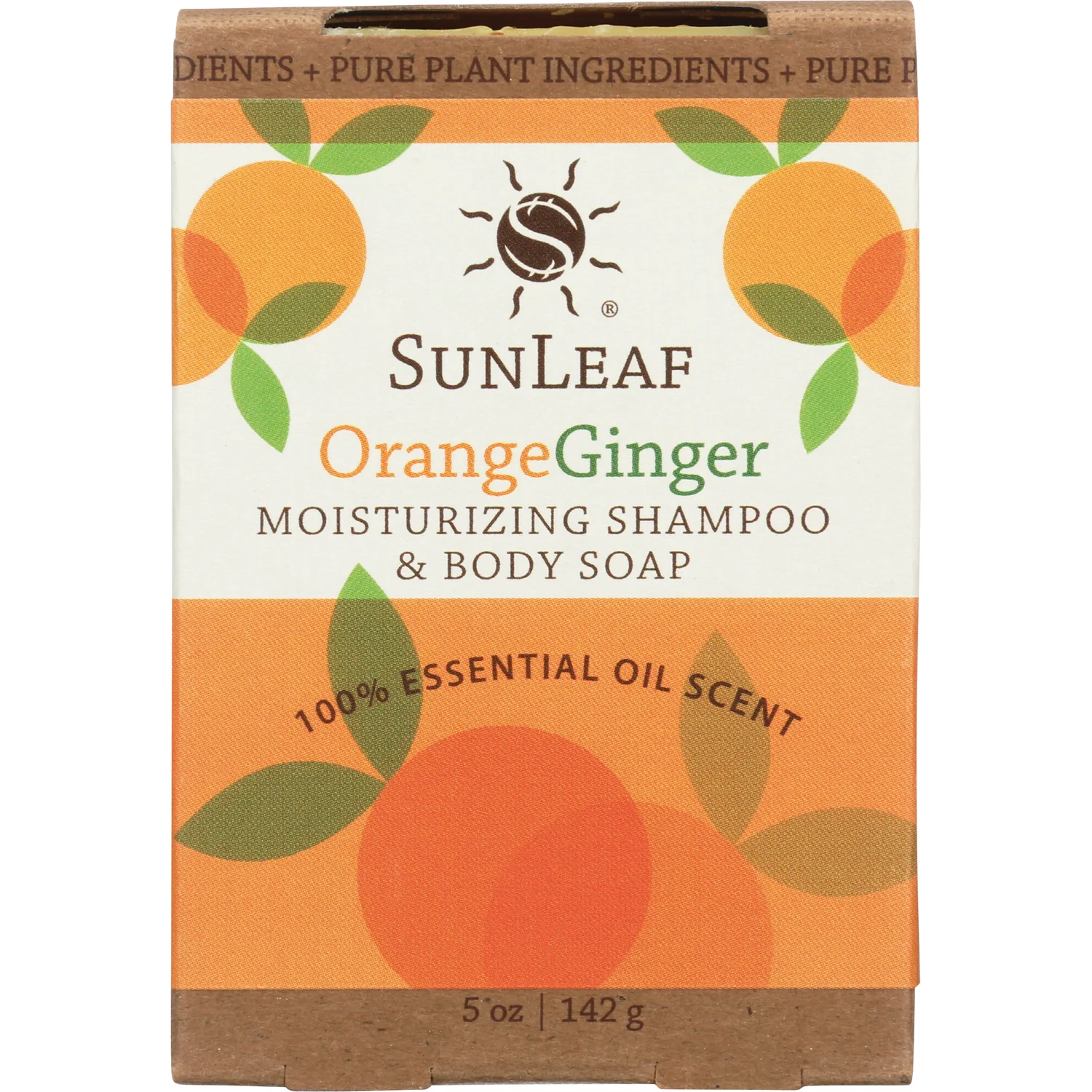 Moisturizing Shampoo and Body Soap - Orange Ginger