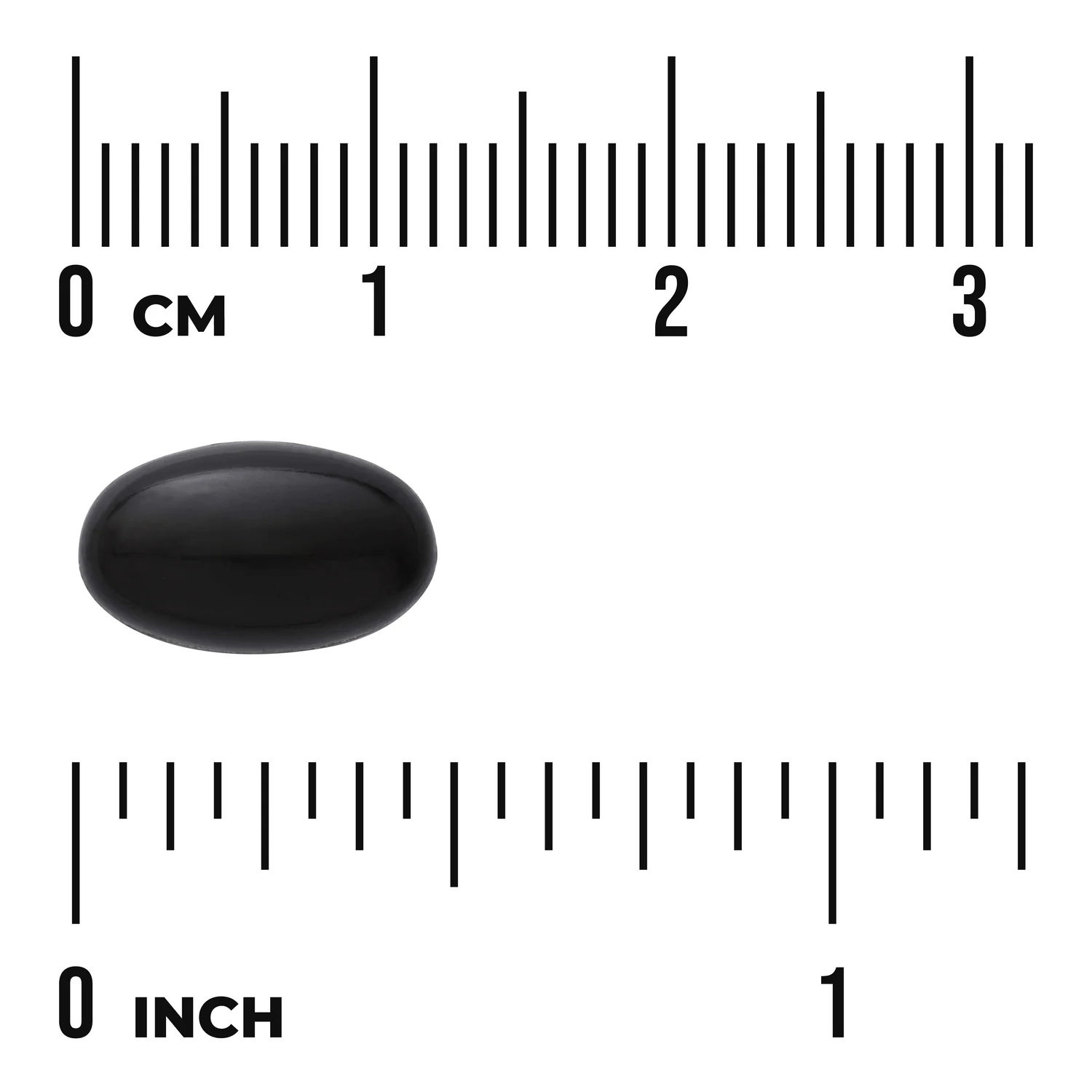 Green Lipped Mussel - Image 3