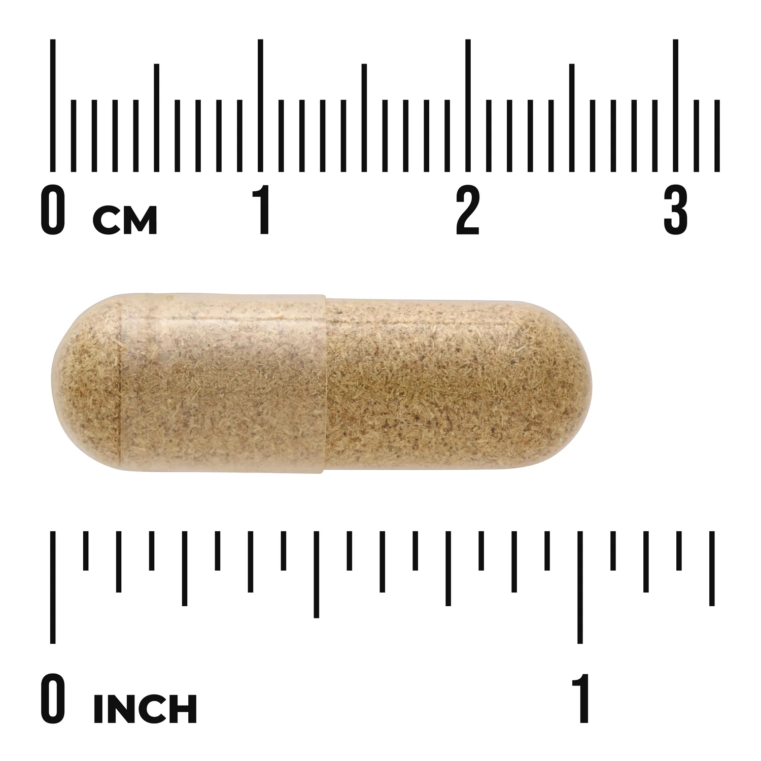 Chamomile - Image 3