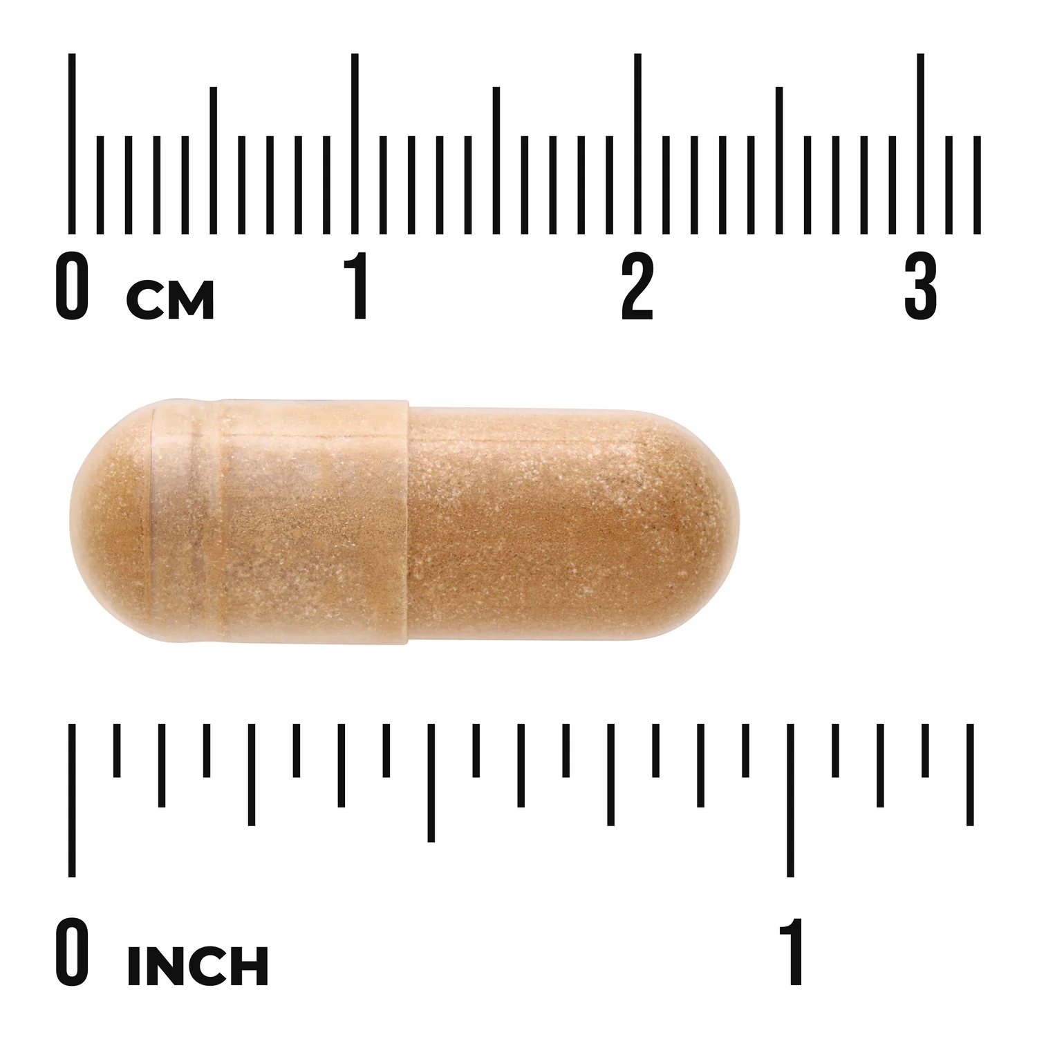 Fucoidan Extract - Image 3