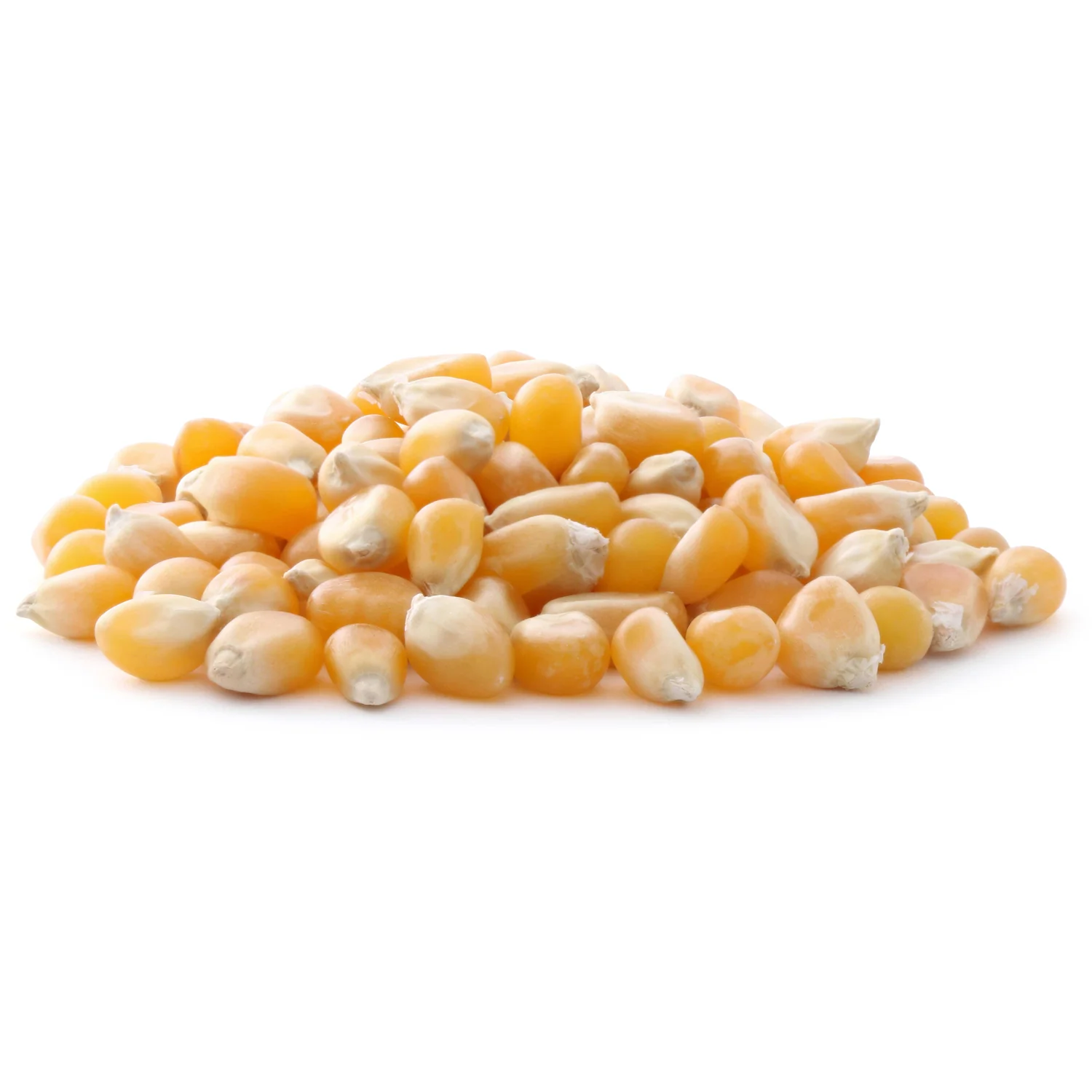 Certified Organic Popcorn - Image 3