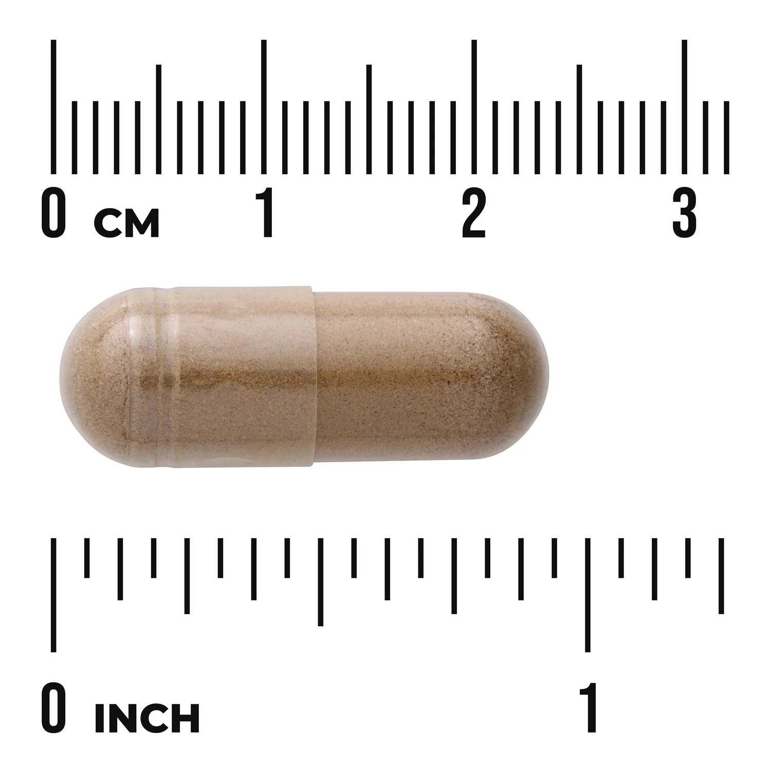 Full Spectrum Black Cohosh - Image 3