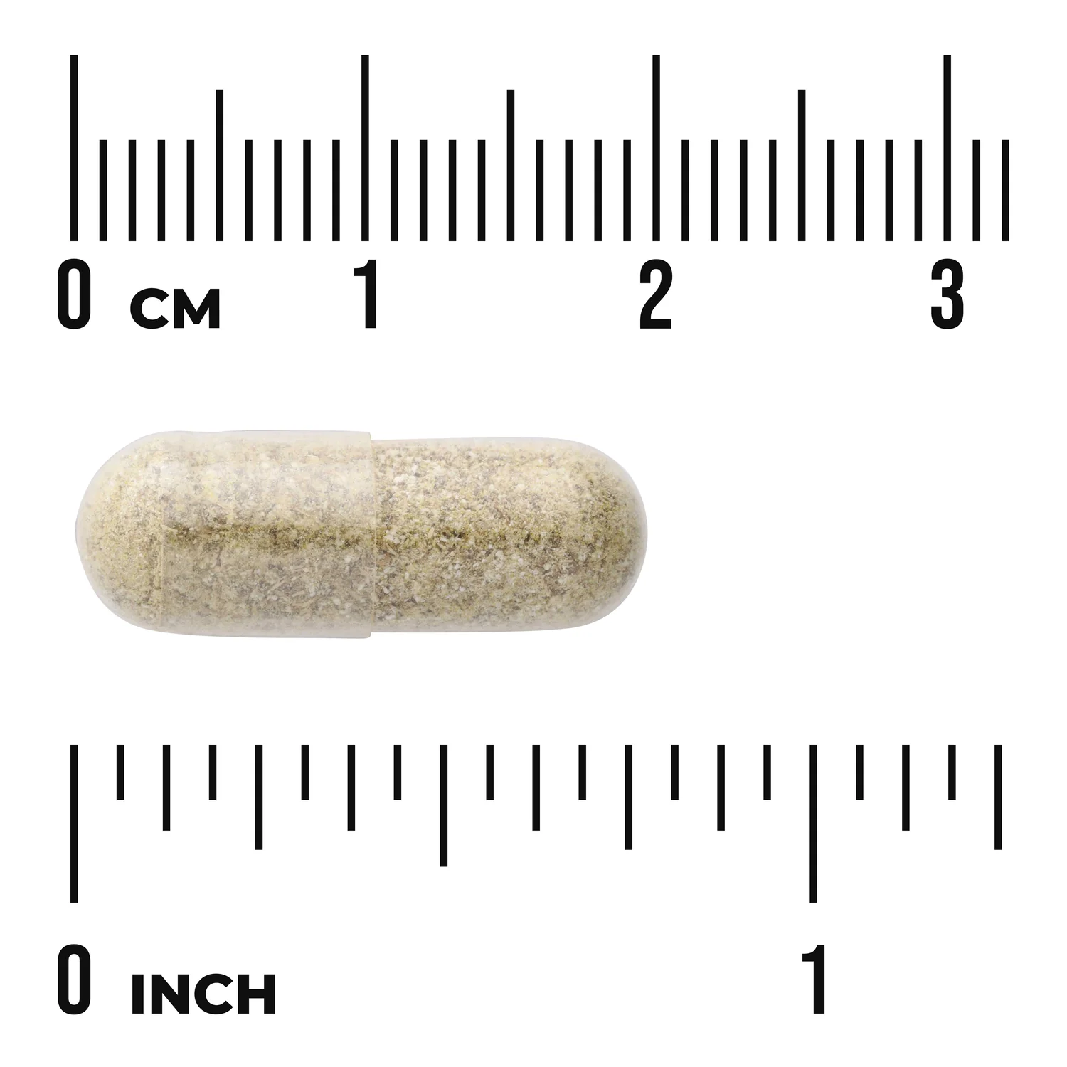 Echinacea with Goldenseal Root - Image 3