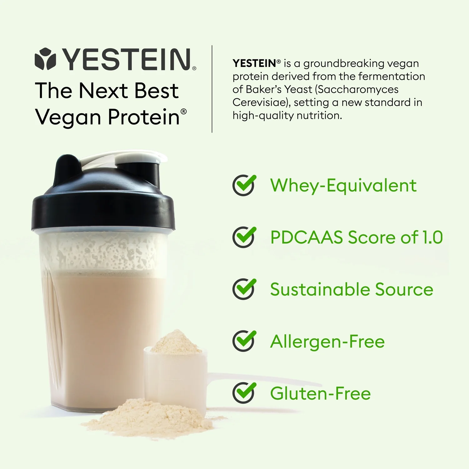 Full Potential Vegan Protein - Chocolate - Image 4