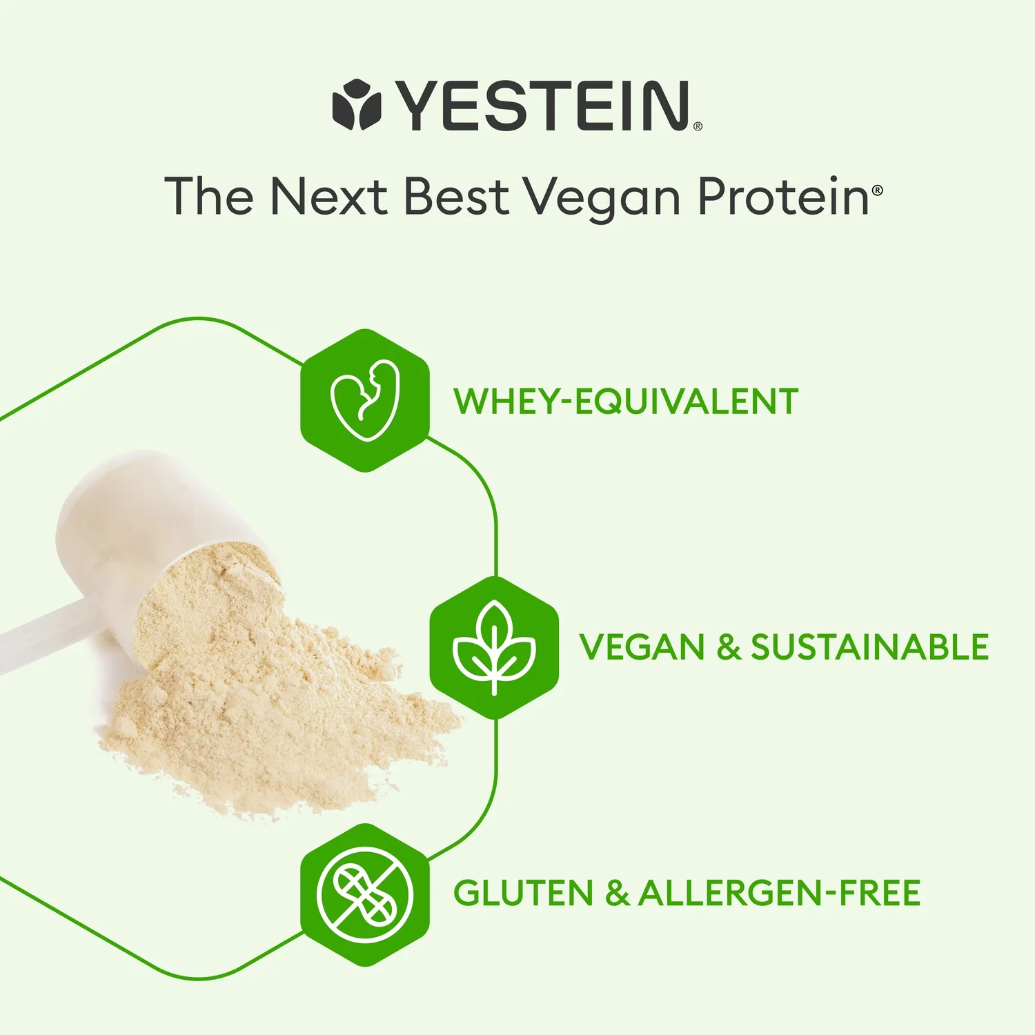 Full Potential Vegan Protein - Chocolate - Image 5