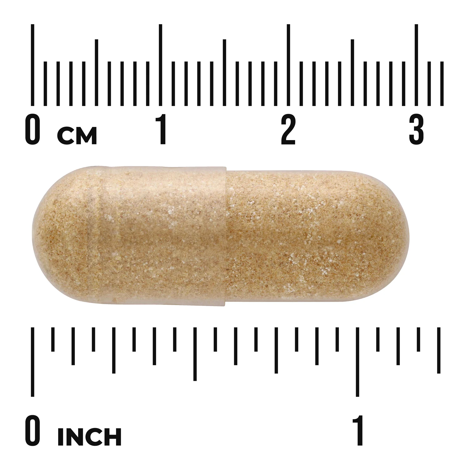 Chinese Skullcap - Image 3