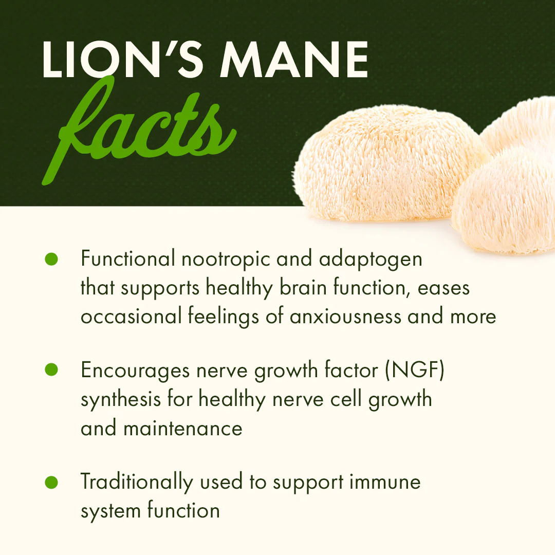 Full Spectrum Lion's Mane Mushroom - Image 4