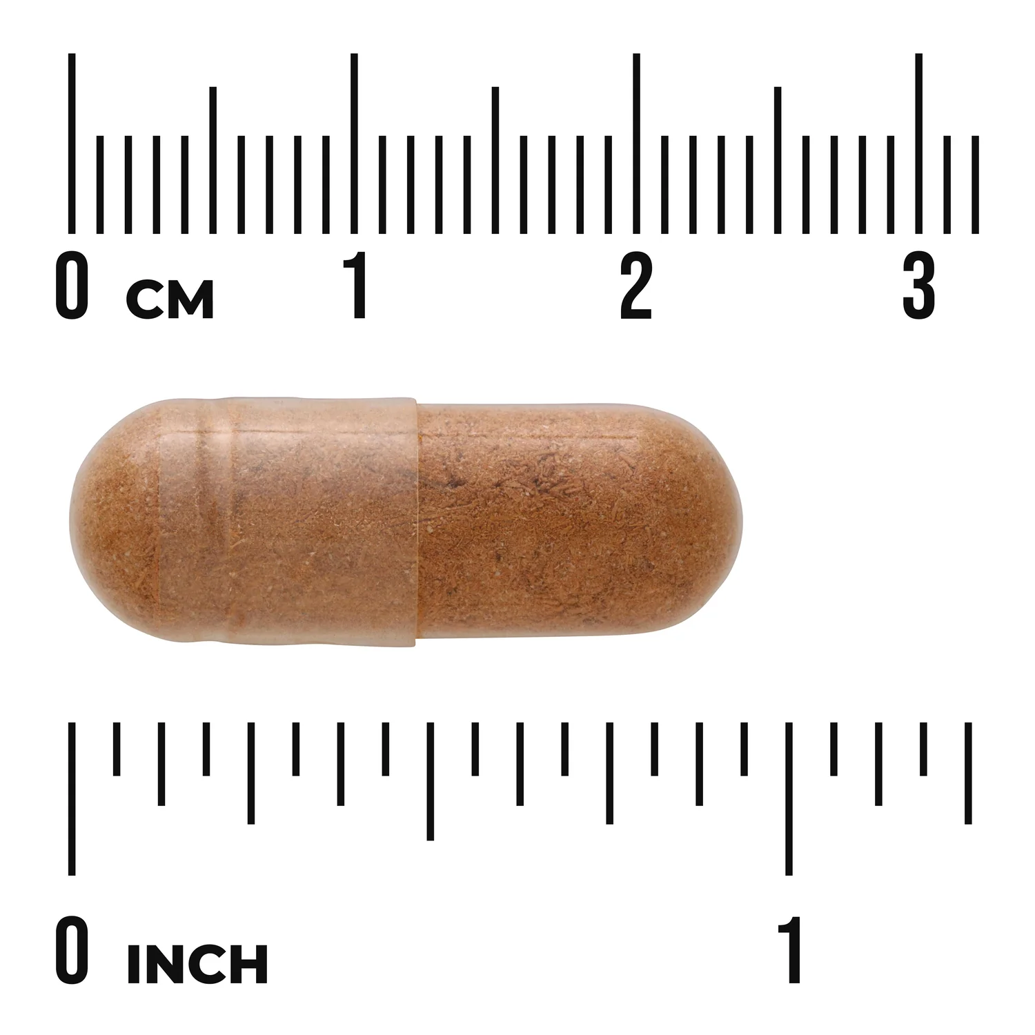 Full Spectrum Pterocarpus Marsupium - Image 3