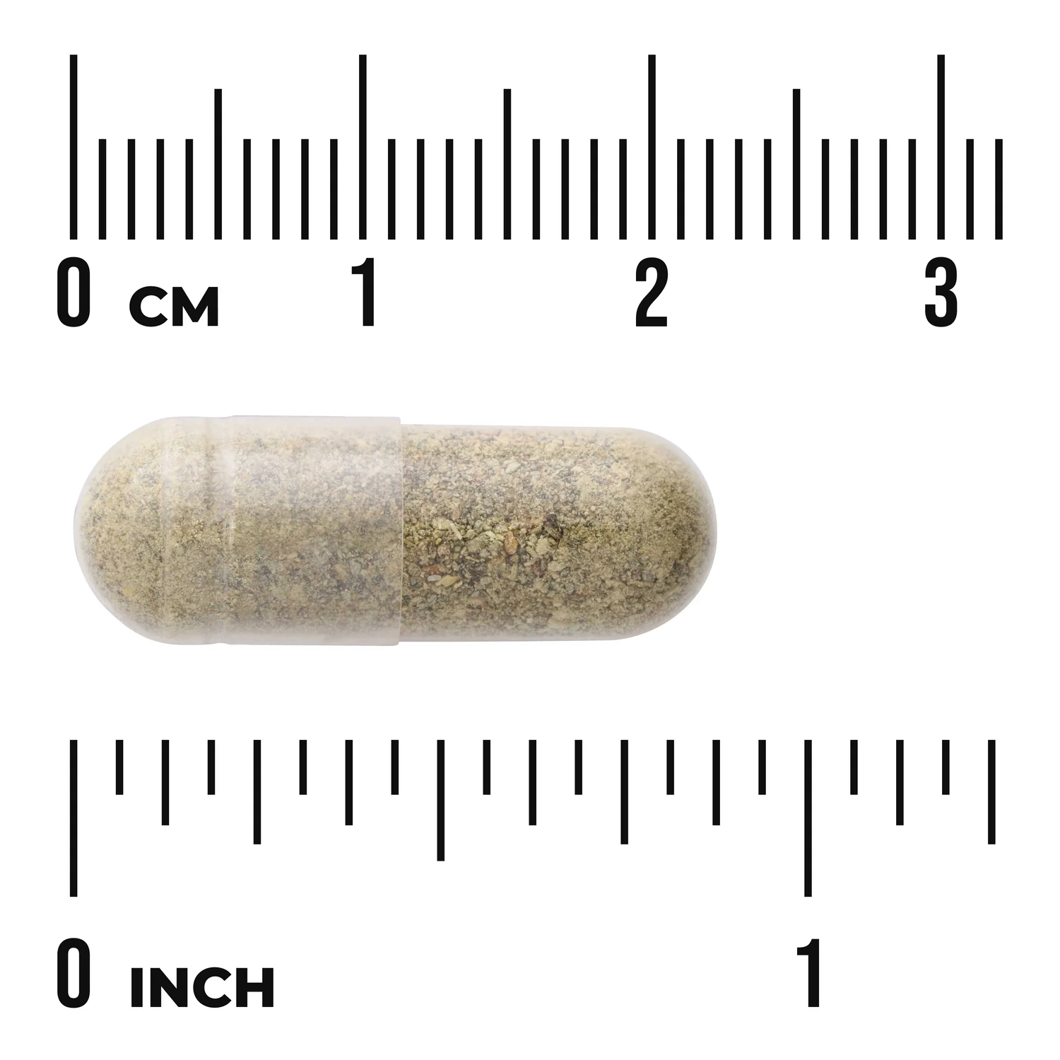 Full Spectrum Purslane - Image 3