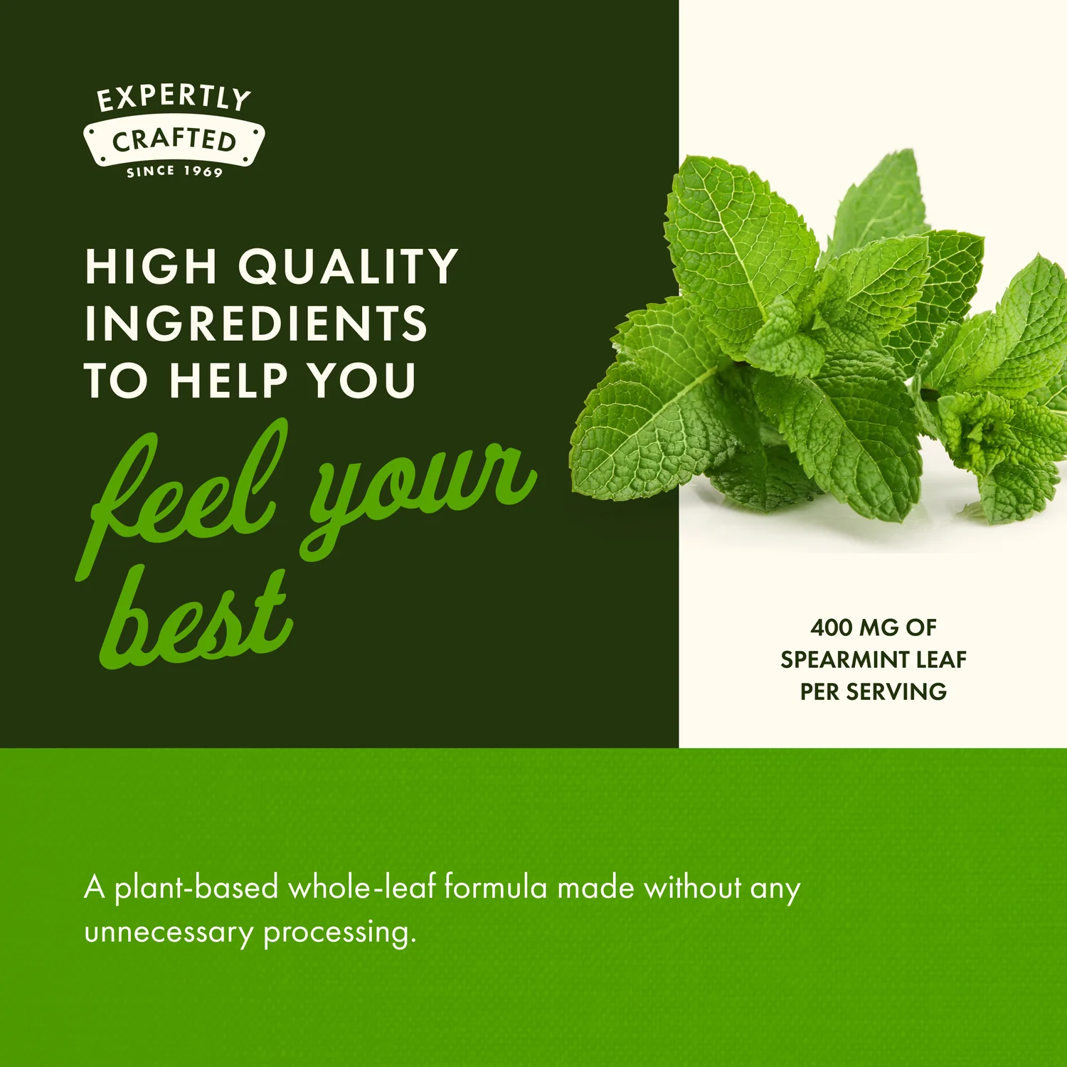 Full Spectrum Spearmint Leaf - Image 4