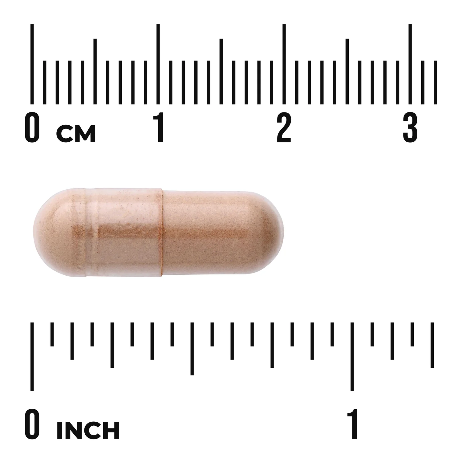Full Spectrum Grape Seed - Image 3