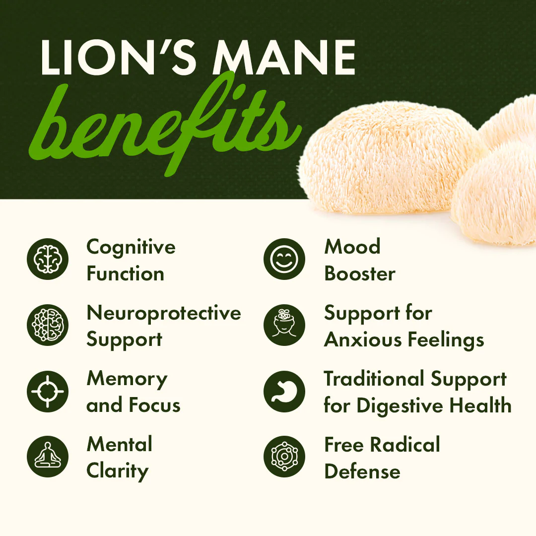 Organic Lion's Mane Mushroom - Image 4