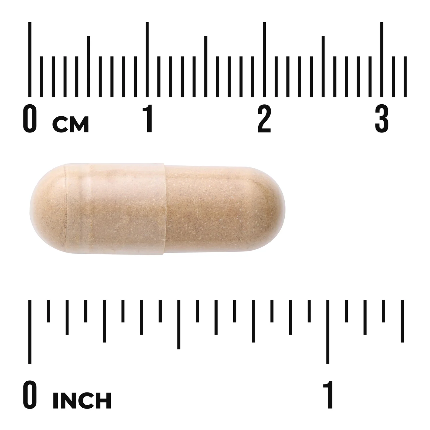 Kidney Glandular - Image 3