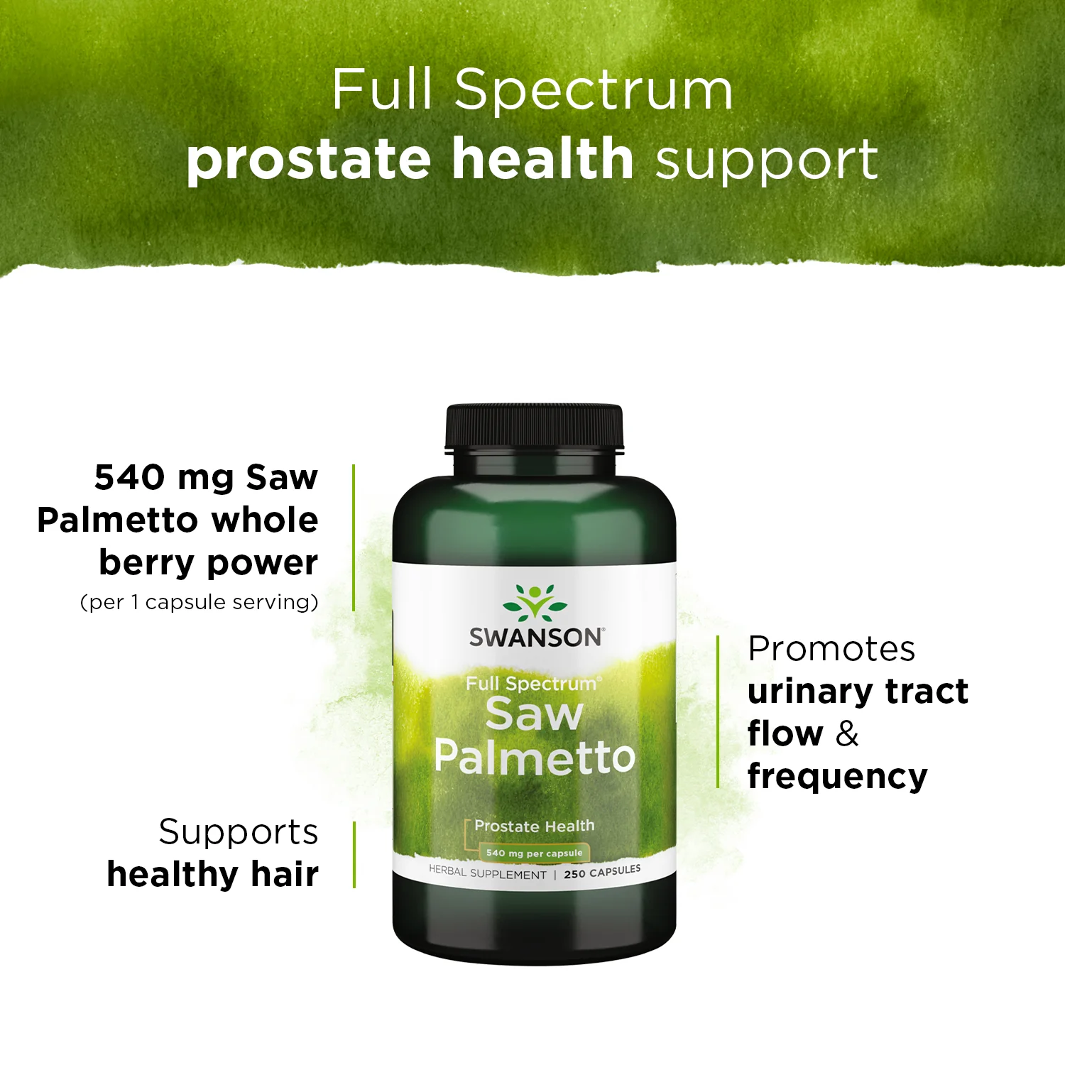Full Spectrum Saw Palmetto - Image 4