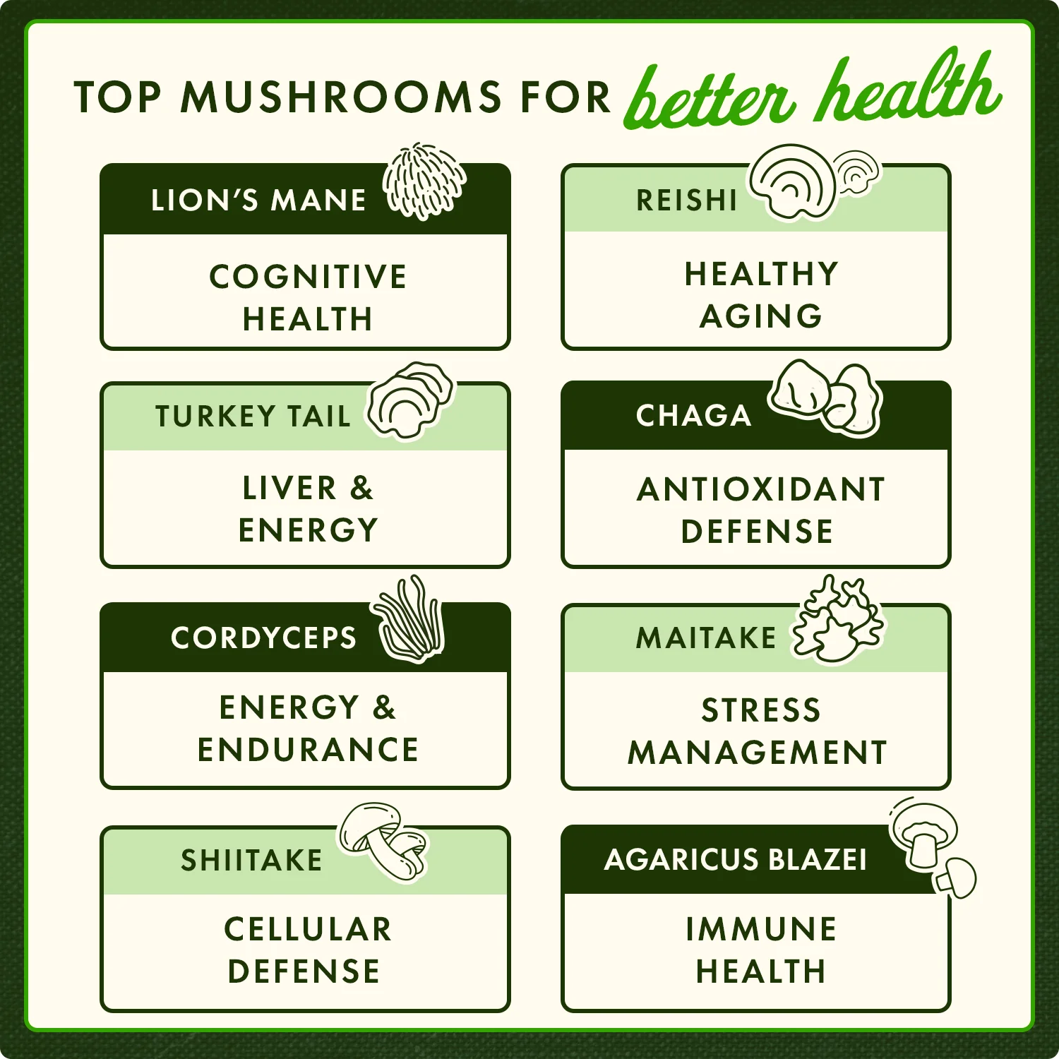 Full Spectrum Shiitake Mushroom - Image 4