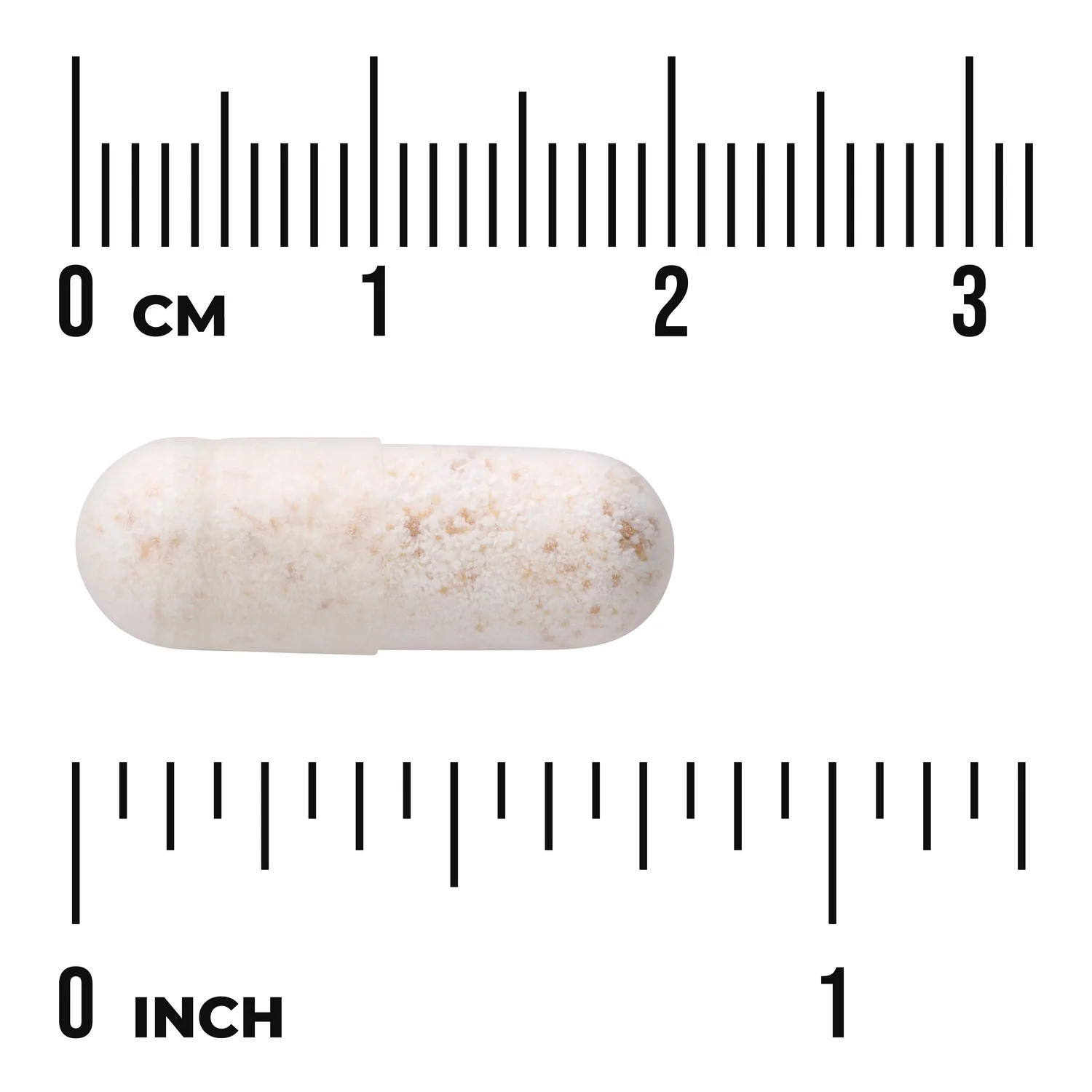 Lactobacillus Gasseri - Image 3