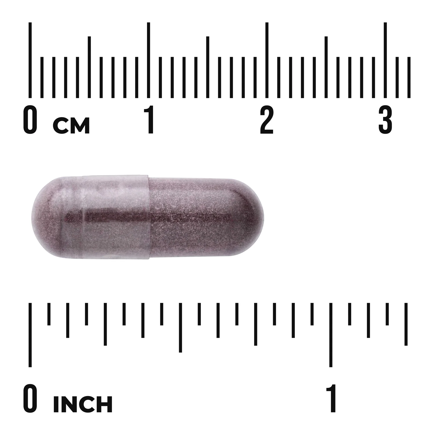 Bilberry Extract - Standardized - Image 3