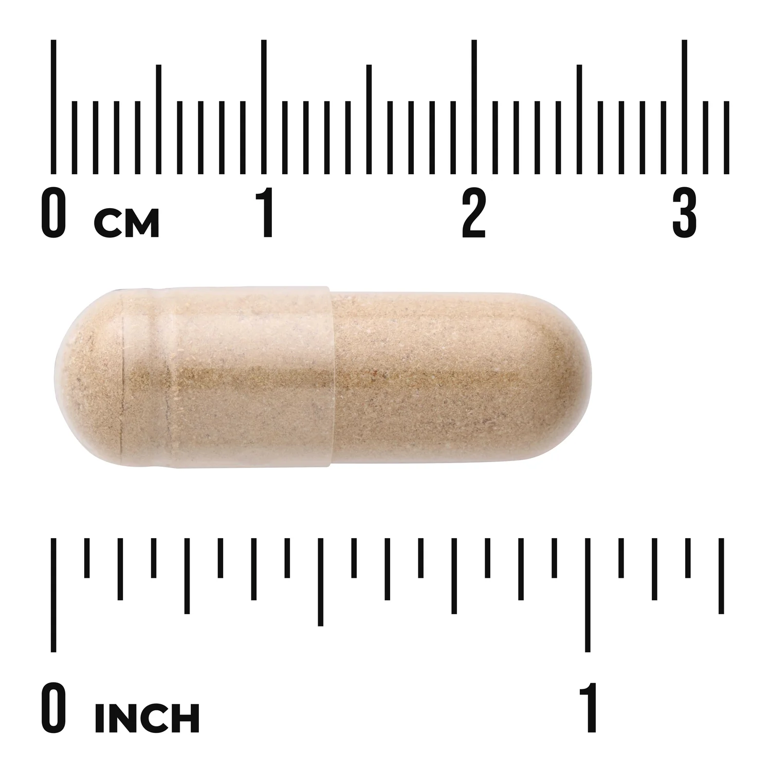 Butcher's Broom Extract - Standardized - Image 3