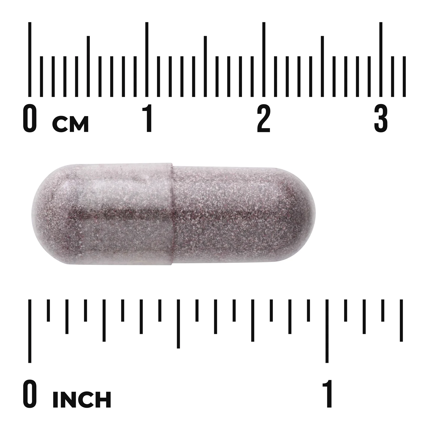 Bilberry - Extra Strength Standardized - Image 3