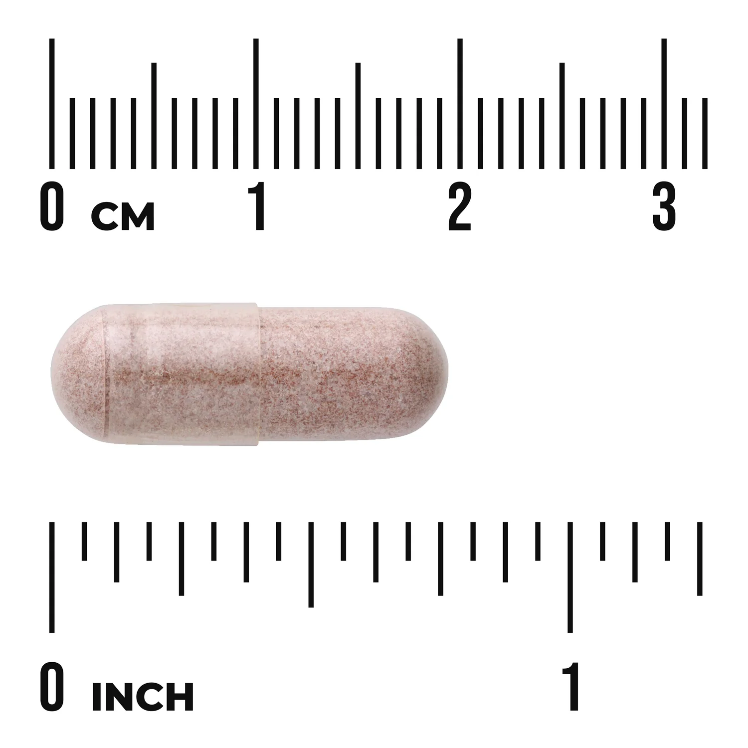 Grape Seed Extract - Standardized - Image 3