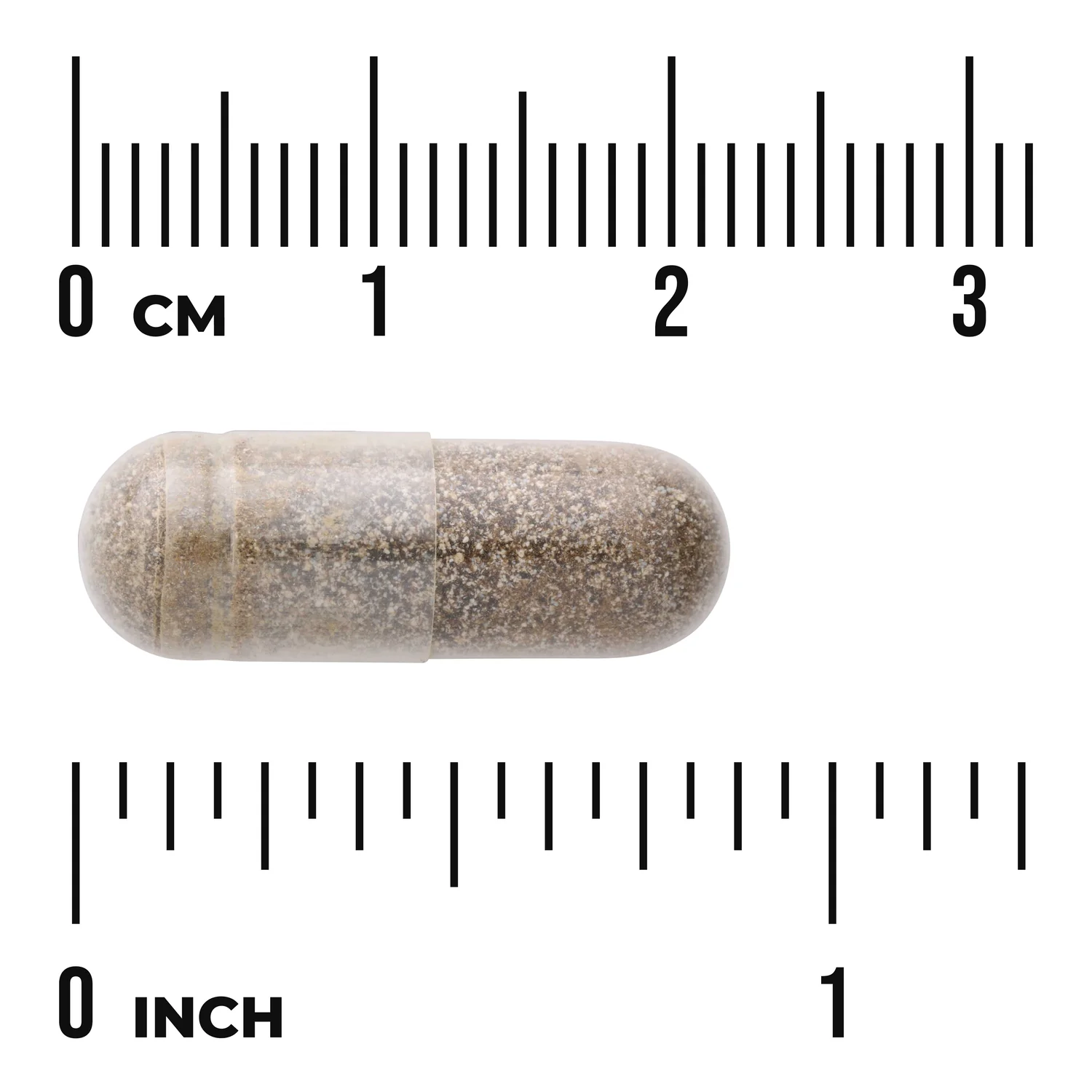 Gymnema Sylvestre Extract - Standardized - Image 3