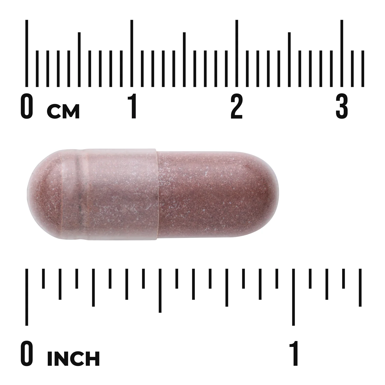 Red Wine Extract - Standardized - Image 3