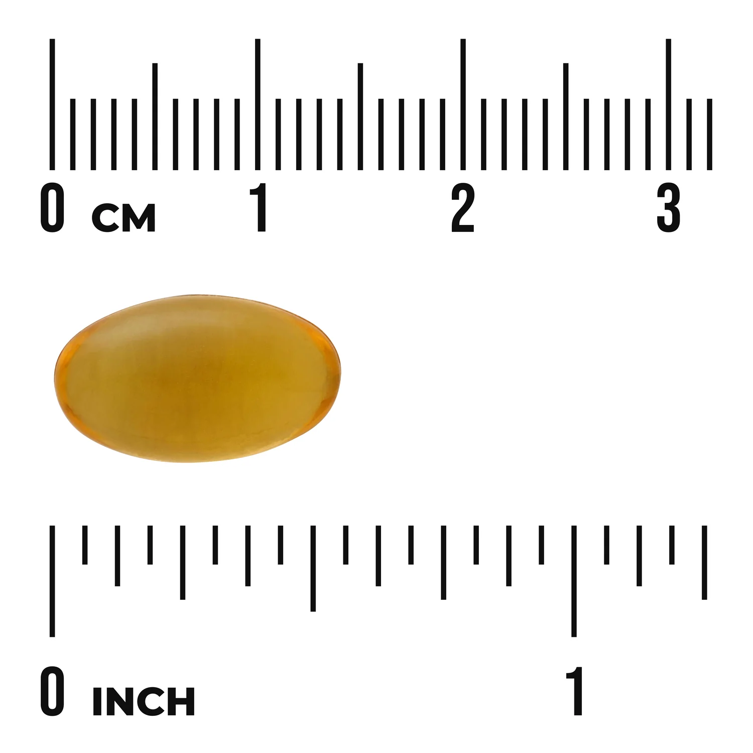 Saw Palmetto - Image 3
