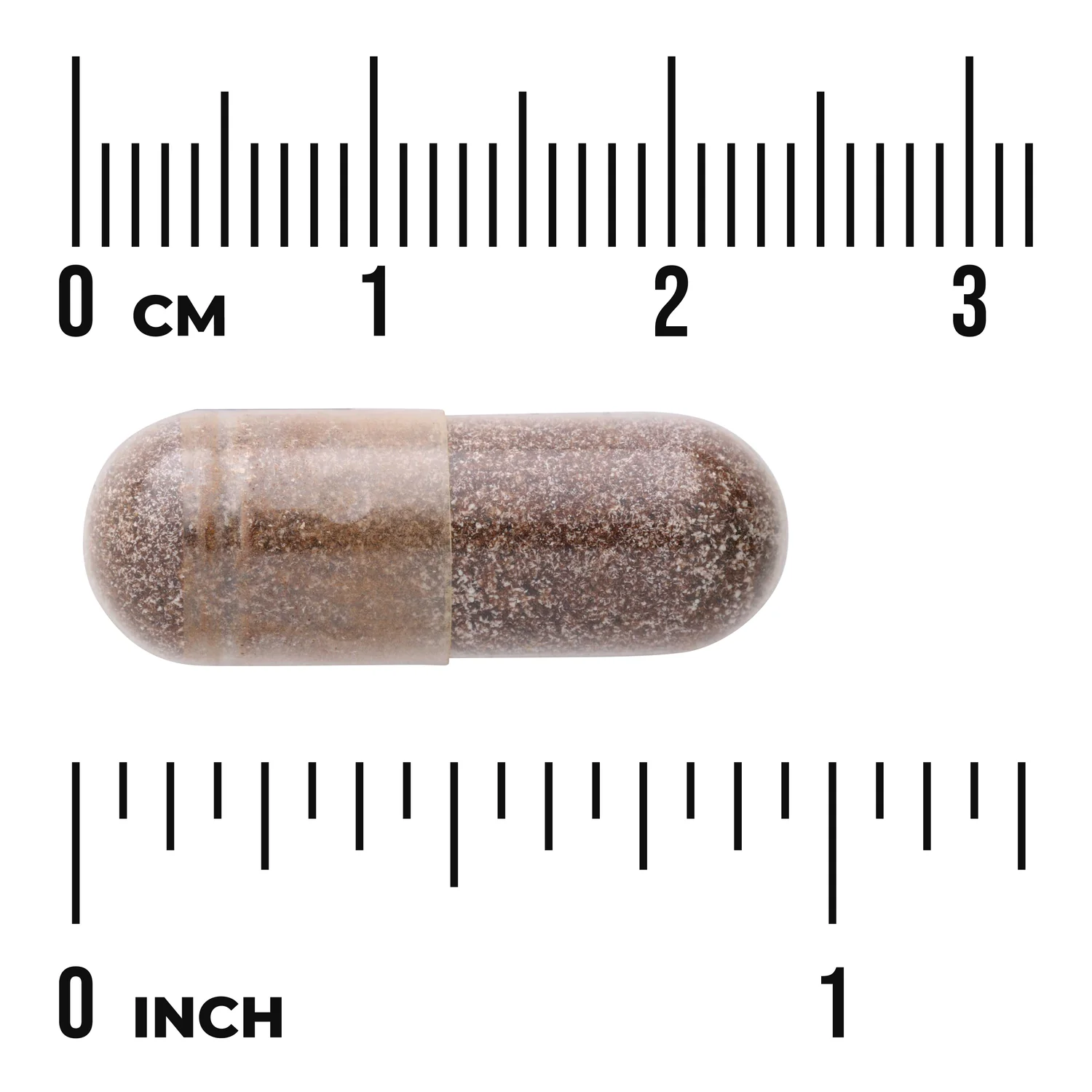 Shatavari Root Extract - Standardized - Image 3