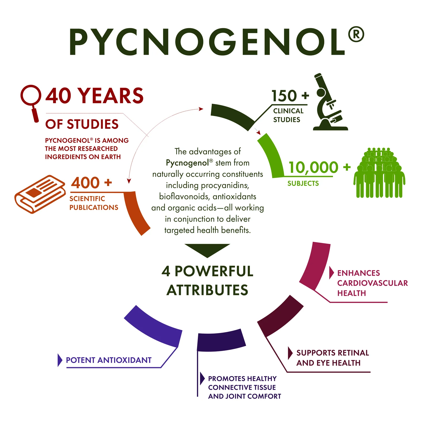 Pycnogenol - Image 4