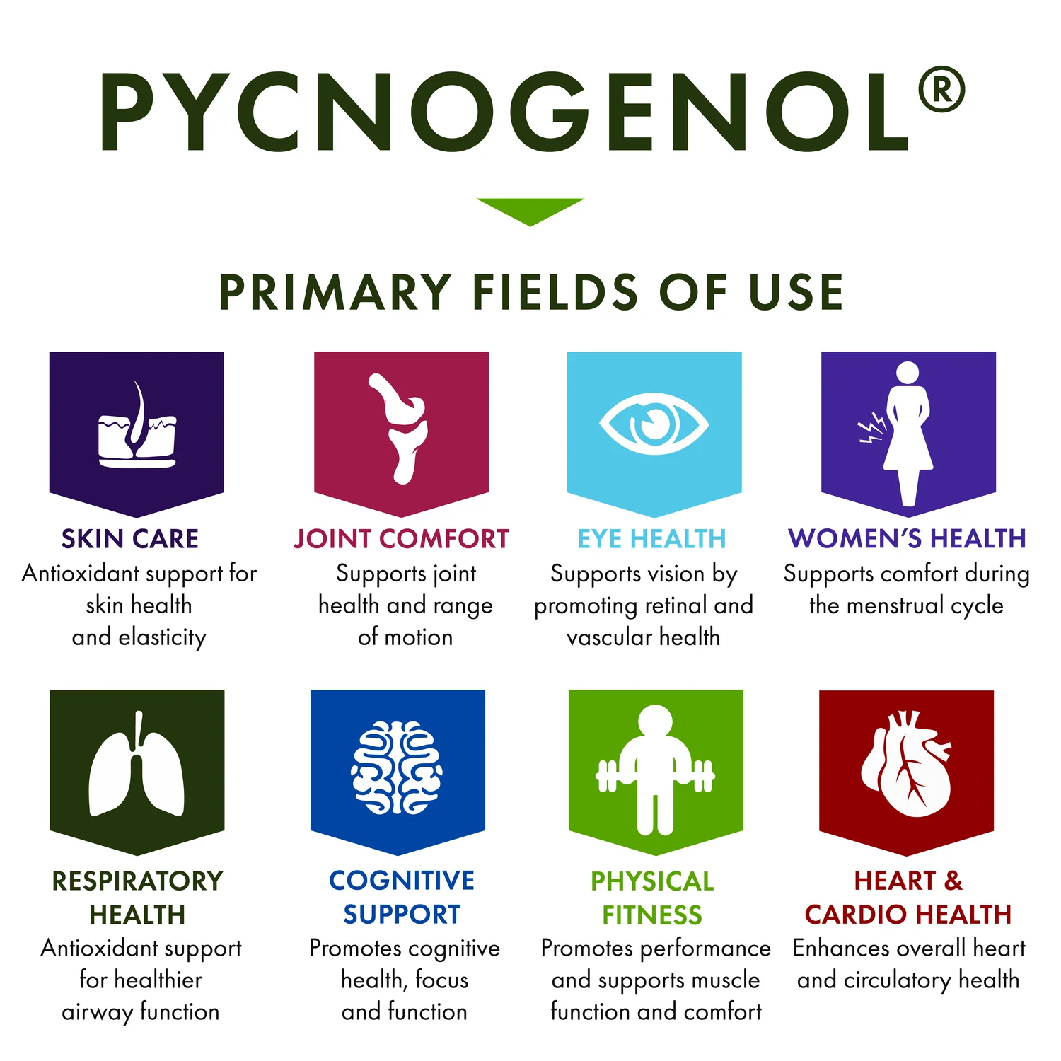 Pycnogenol - Image 5