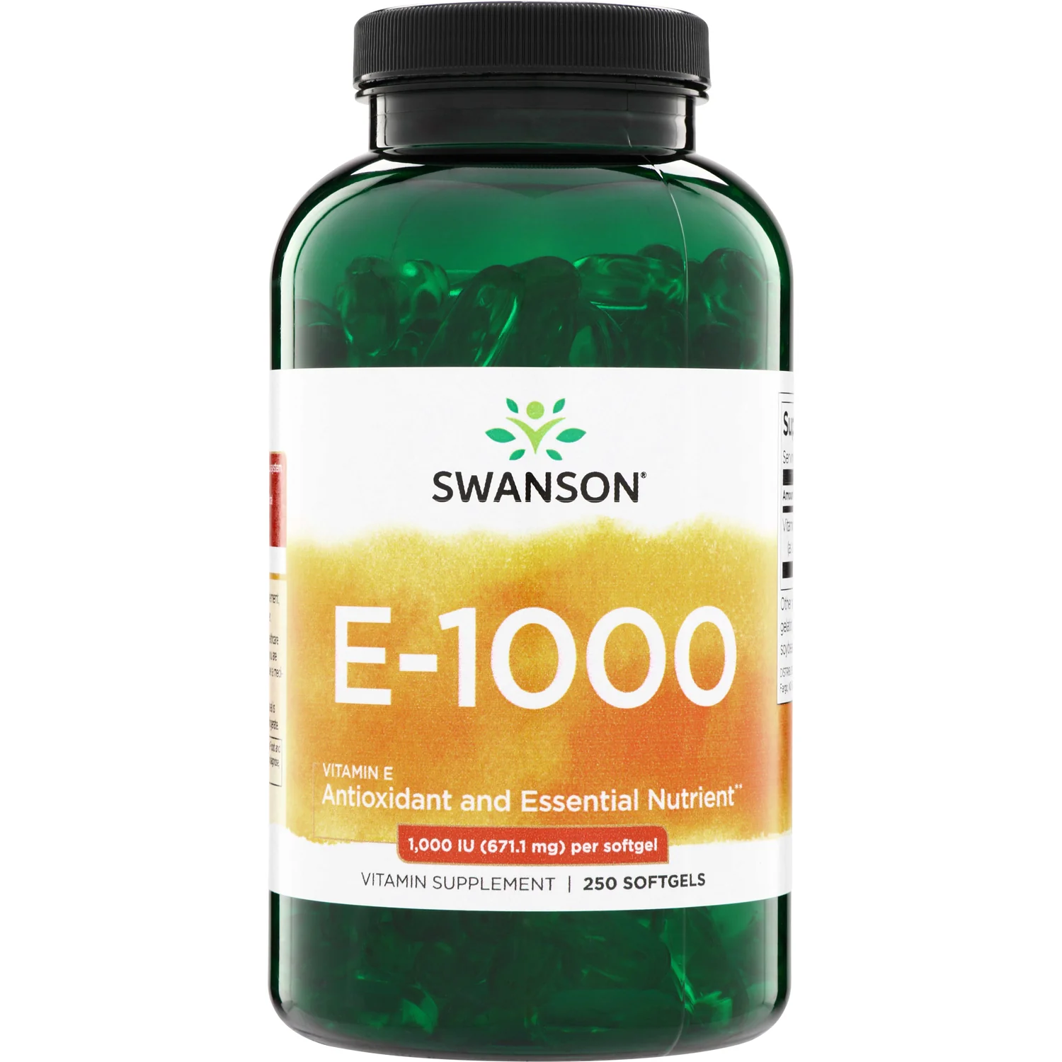 E-1000 - Image 2