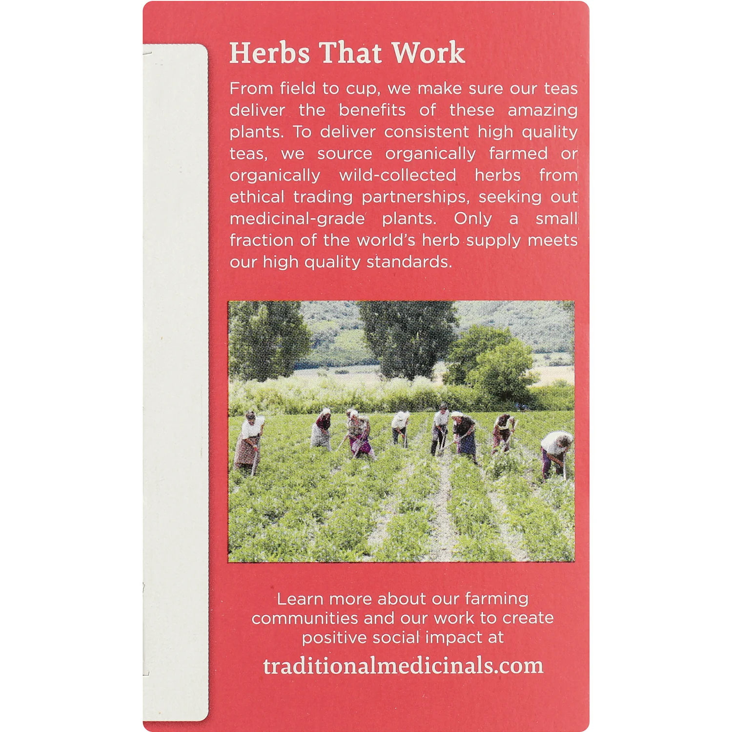 Organic Healthy Cycle Tea - Raspberry Leaf - Image 4