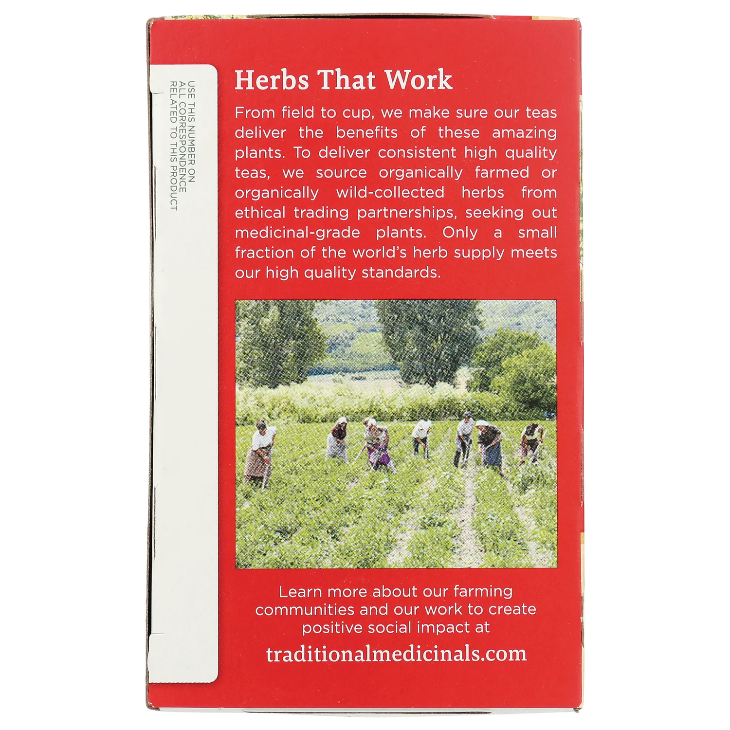 Organic Herbal Cold Care - Elderflower Spice - Image 4