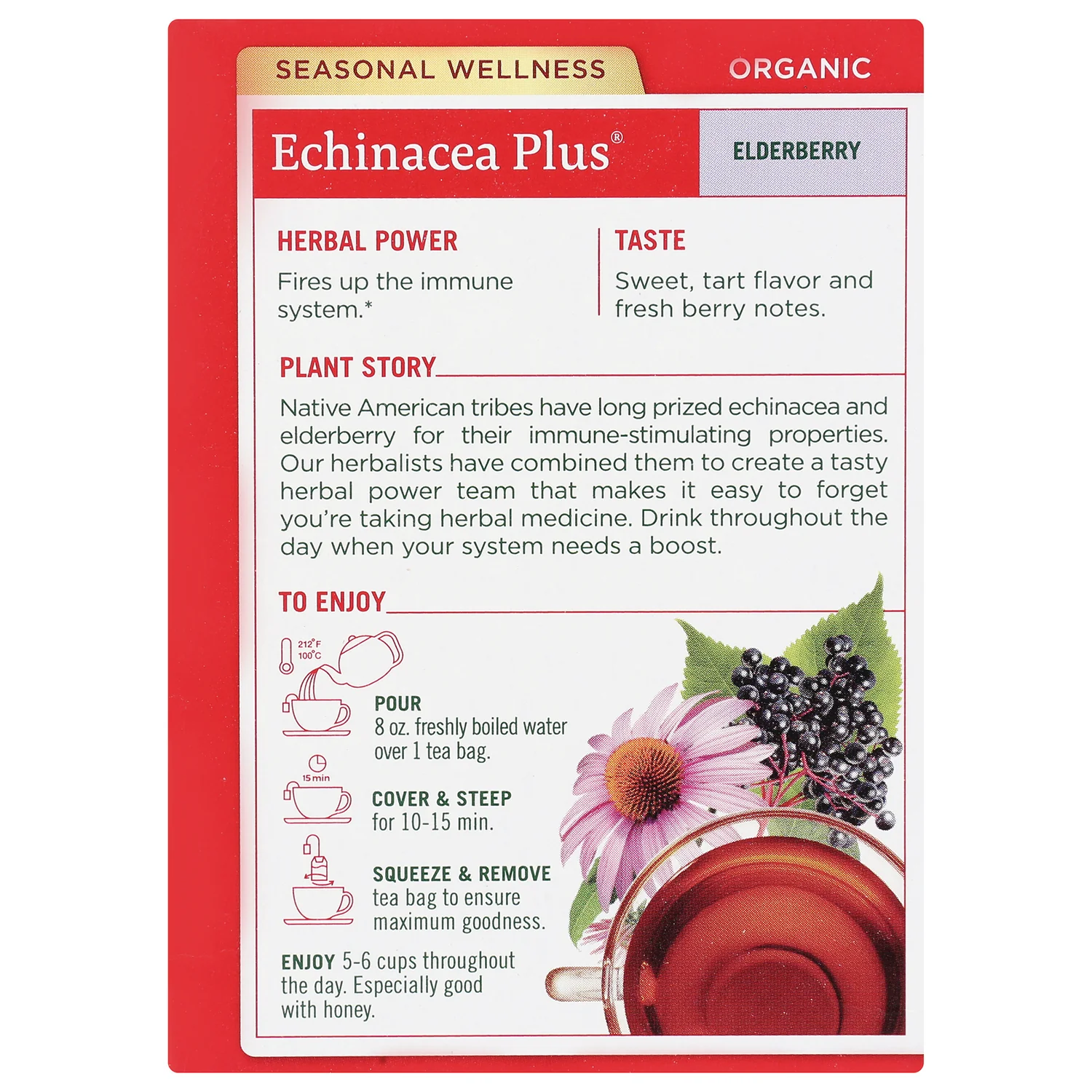 Organic Echinacea Plus Tea - Elderberry - Image 3