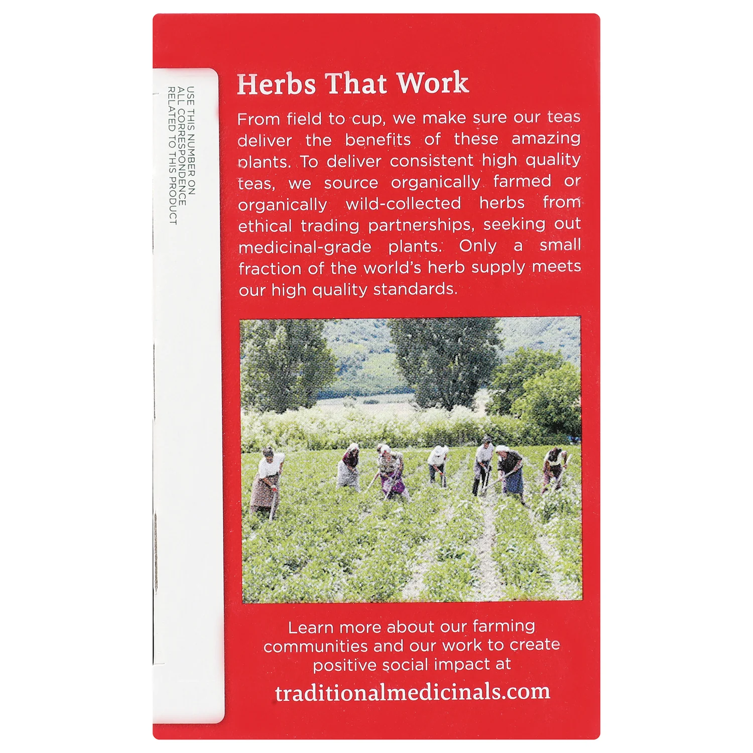 Organic Echinacea Plus Tea - Elderberry - Image 4