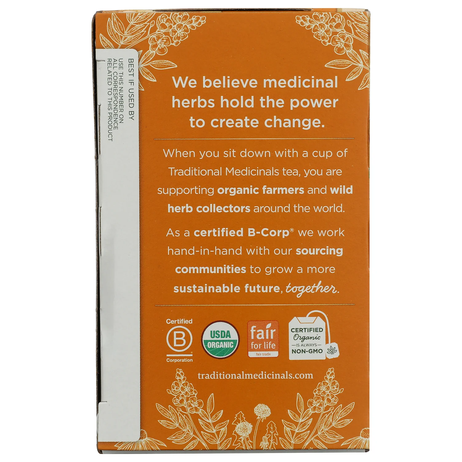 Organic Ginger Aid Tea - Image 4