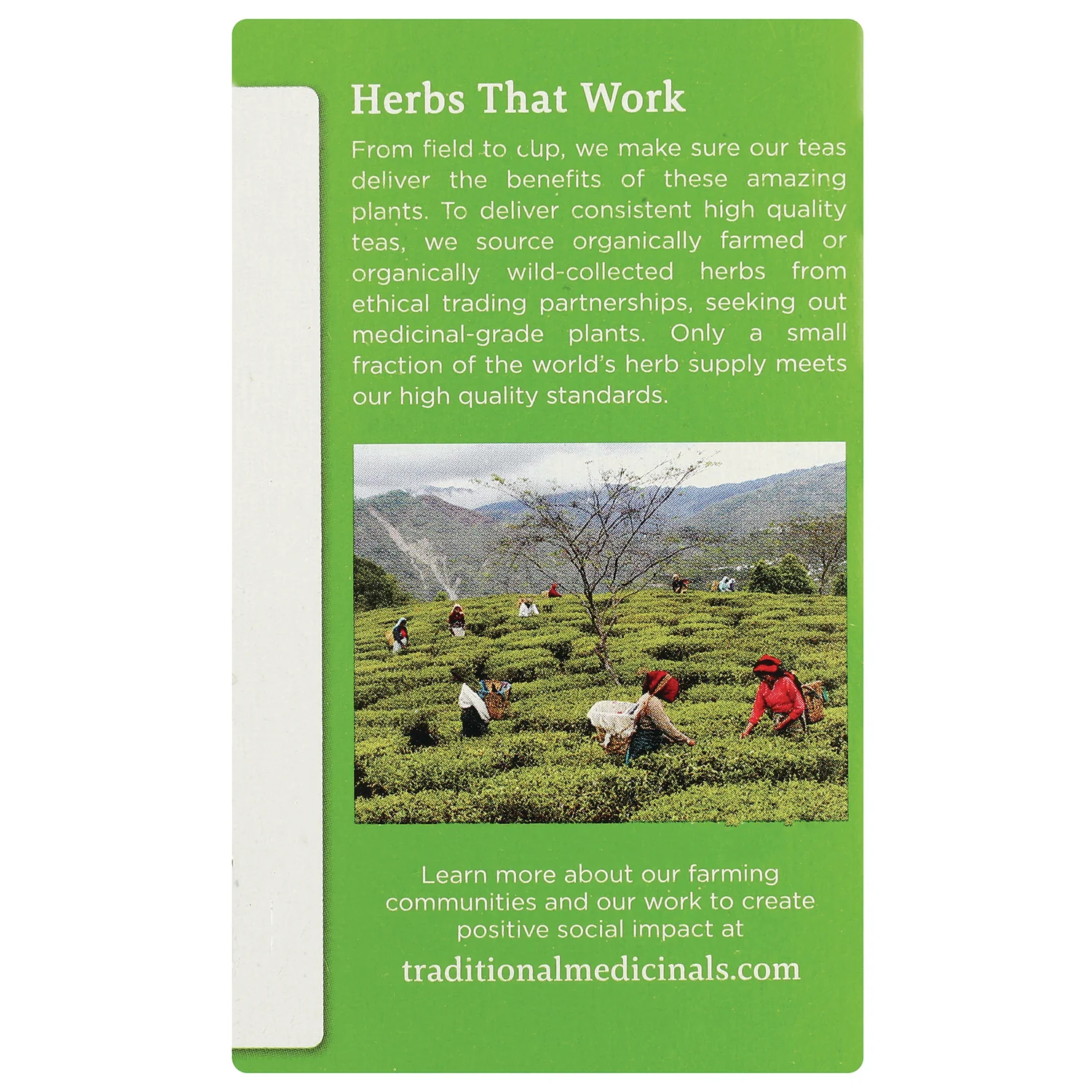 Organic Green Tea - Lemongrass - Image 4