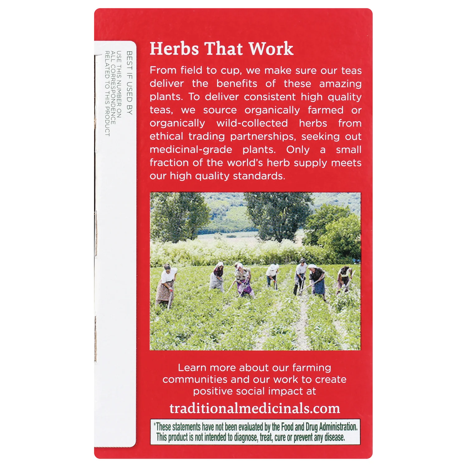 Organic Throat Coat Tea - Lemon Echinacea - Image 4