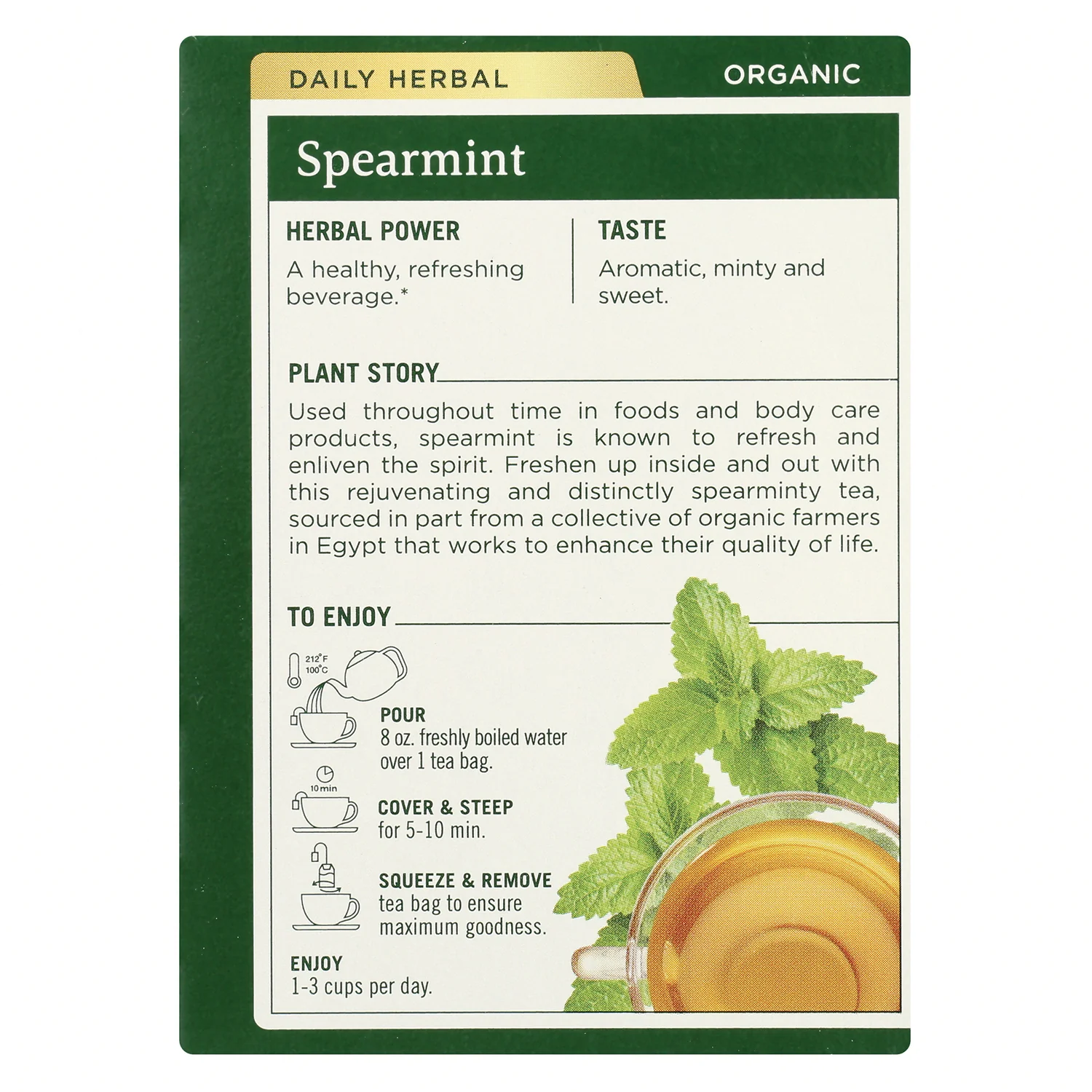 Organic Spearmint Tea - Image 3