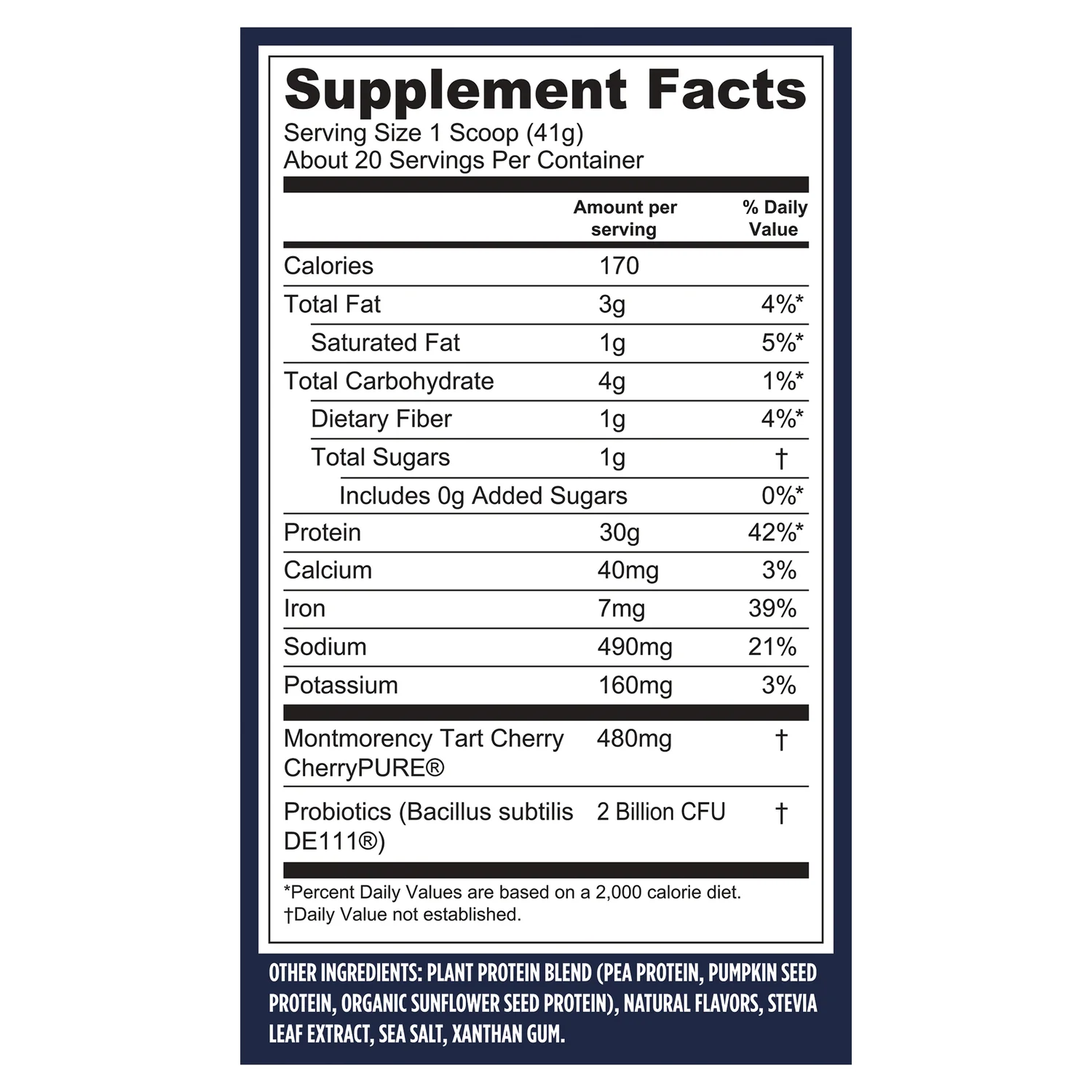 Protein + Recovery - Creamy Vanilla - Image 2