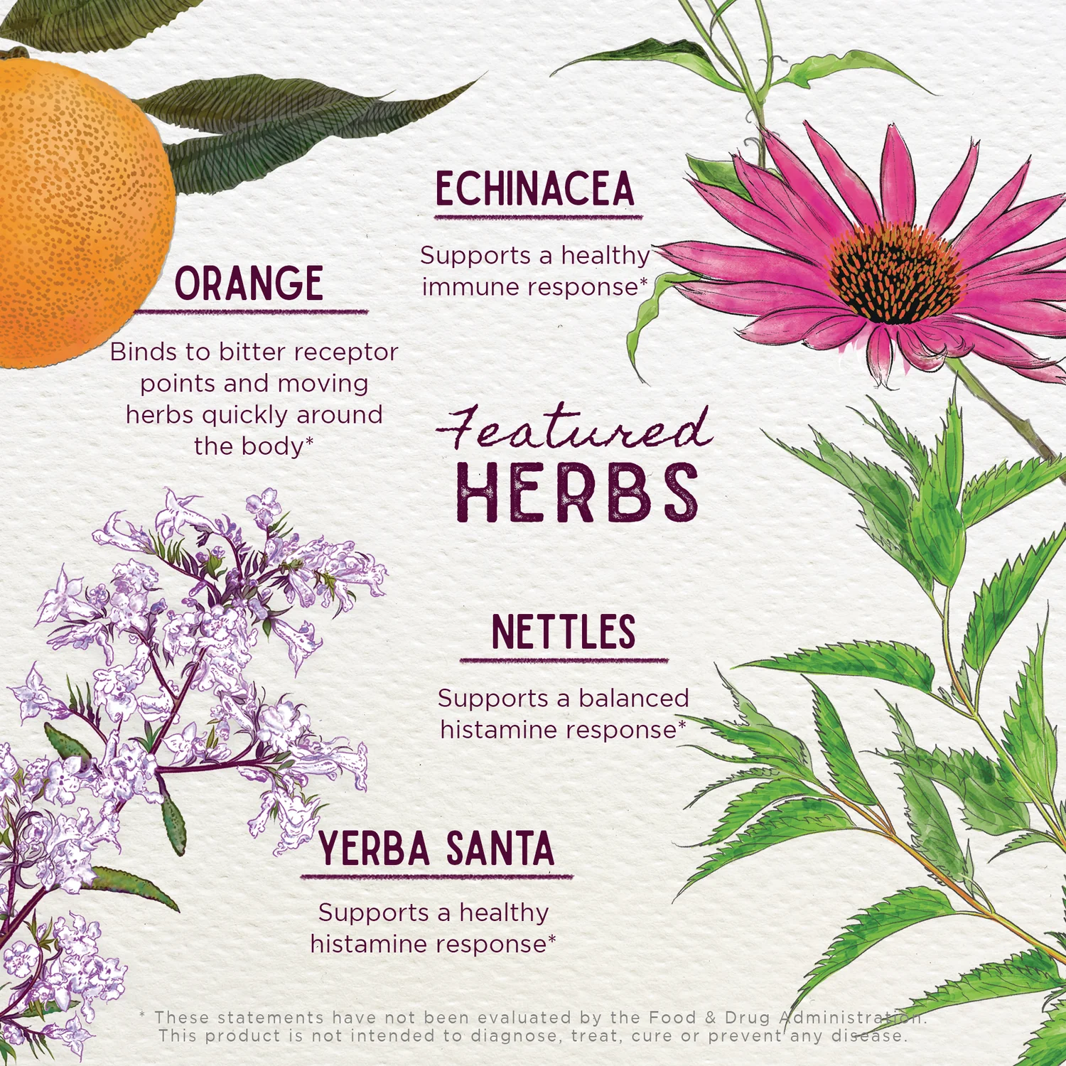 Kick-Ass Allergy Seasonal Rescue - Image 3